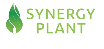 Synergy Plant